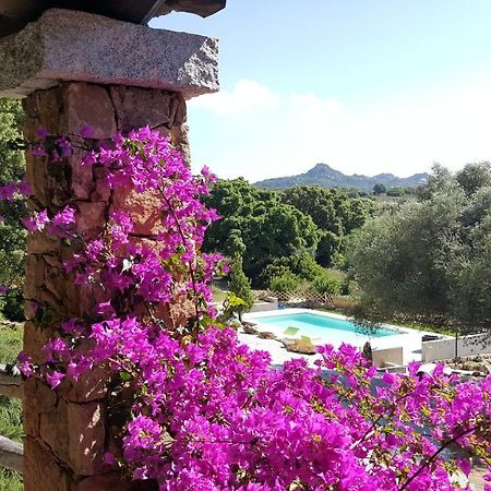 Agriturismo Desole Monti Kültér fotó