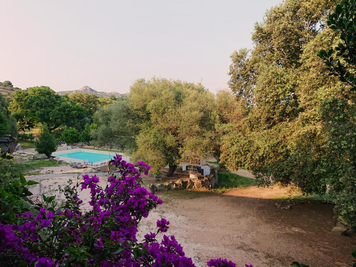Agriturismo Desole Monti Kültér fotó