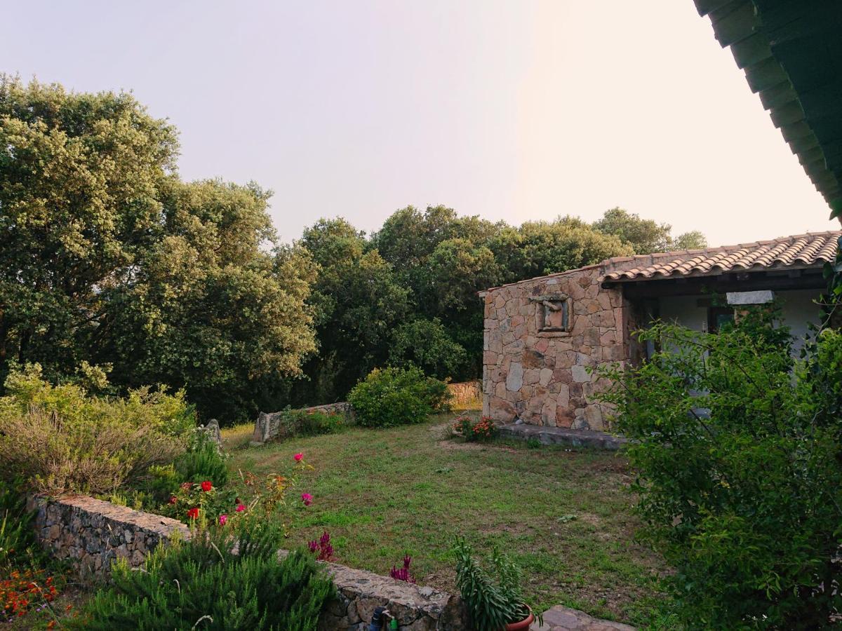 Agriturismo Desole Monti Kültér fotó