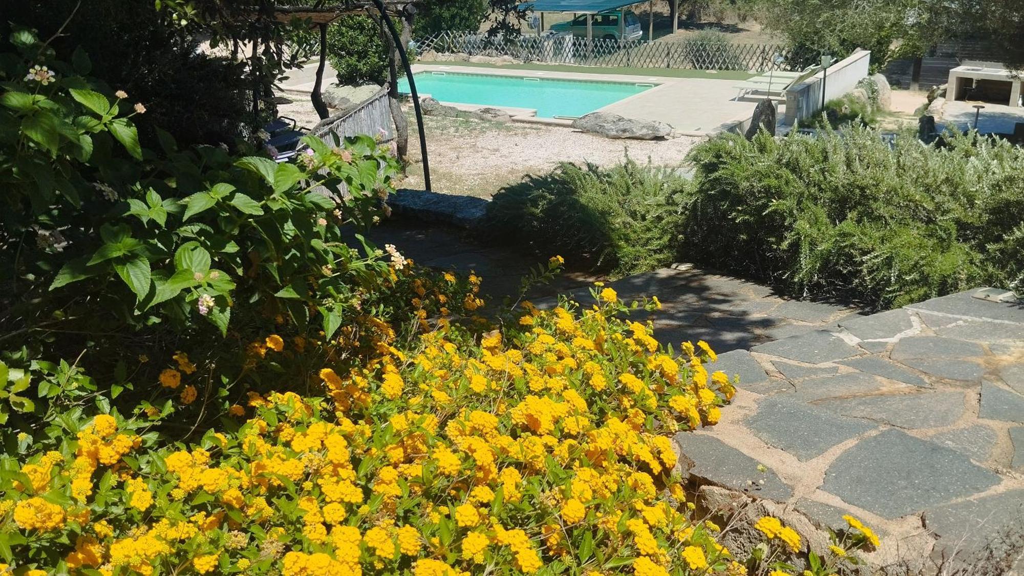 Agriturismo Desole Monti Kültér fotó